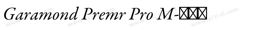 Garamond Premr Pro M字体转换